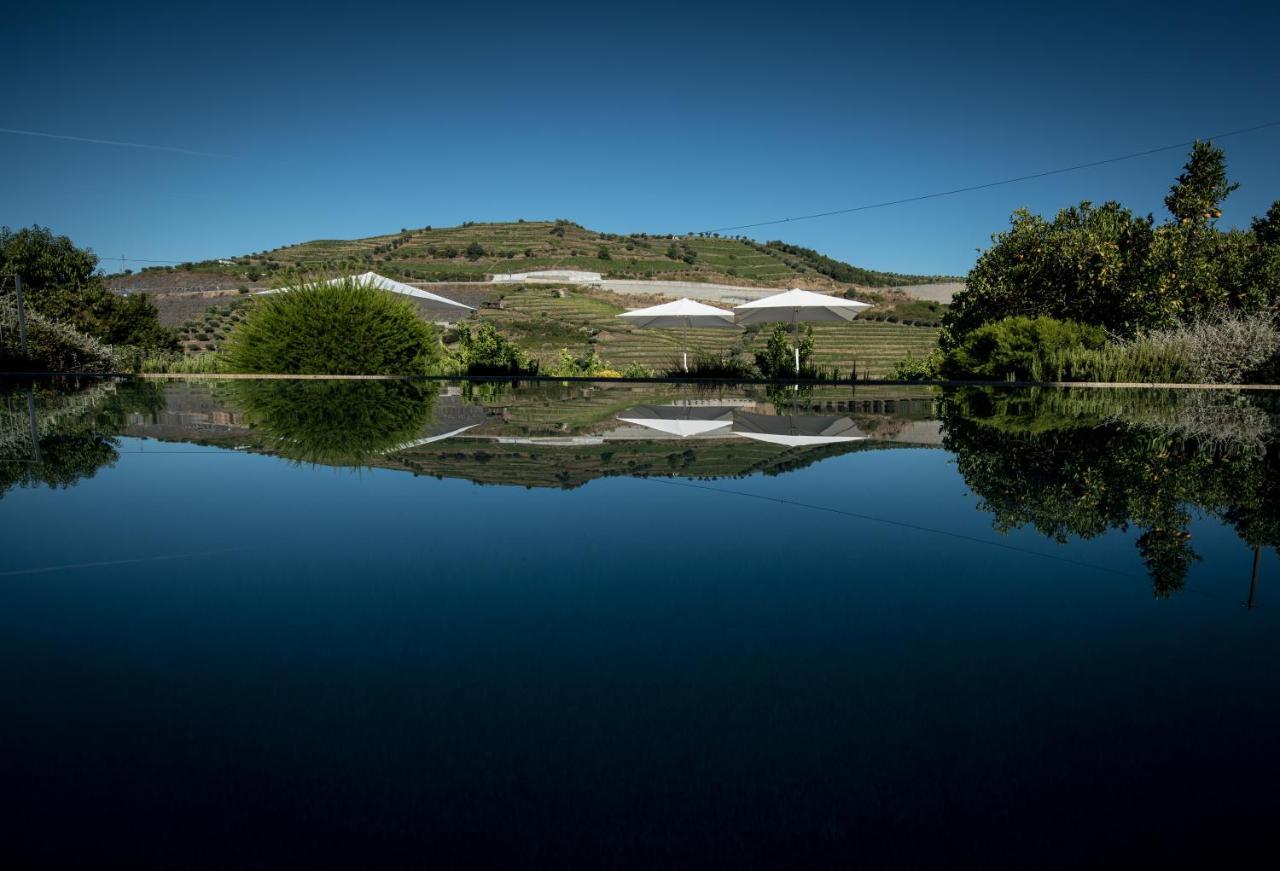Quinta Do Vallado - Douro Wine Hotel 比索达雷加 外观 照片