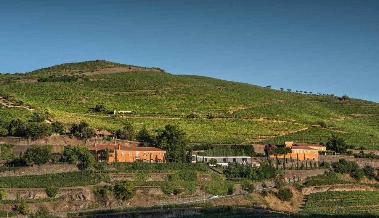 Quinta Do Vallado - Douro Wine Hotel 比索达雷加 外观 照片