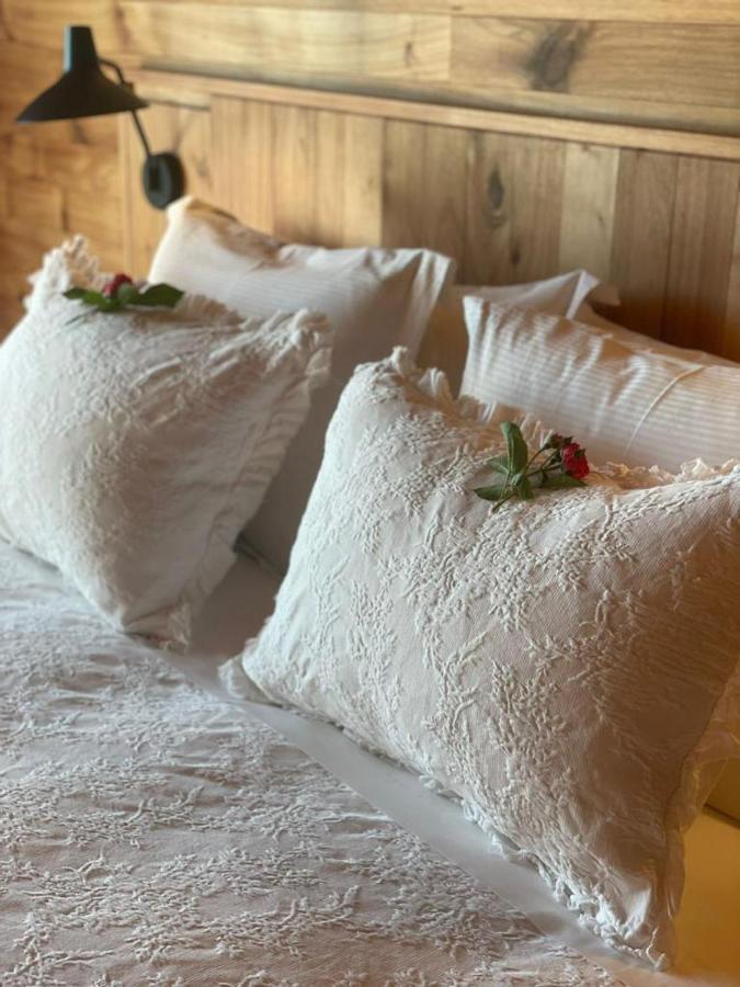 Quinta Do Vallado - Douro Wine Hotel 比索达雷加 外观 照片