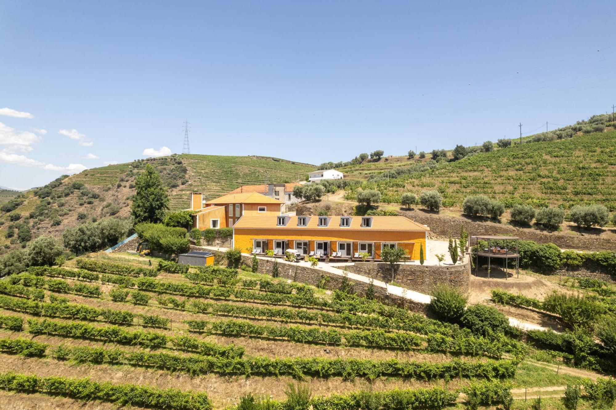 Quinta Do Vallado - Douro Wine Hotel 比索达雷加 外观 照片