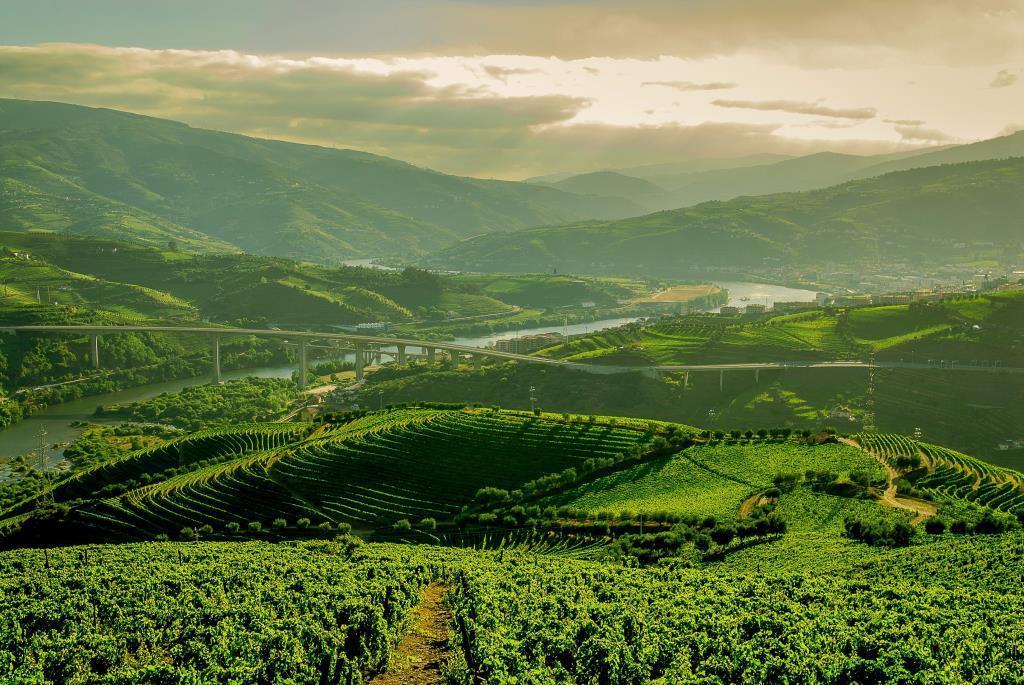 Quinta Do Vallado - Douro Wine Hotel 比索达雷加 外观 照片