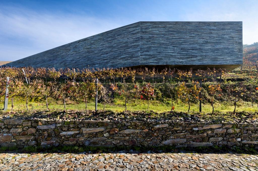 Quinta Do Vallado - Douro Wine Hotel 比索达雷加 外观 照片