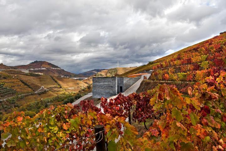 Quinta Do Vallado - Douro Wine Hotel 比索达雷加 外观 照片