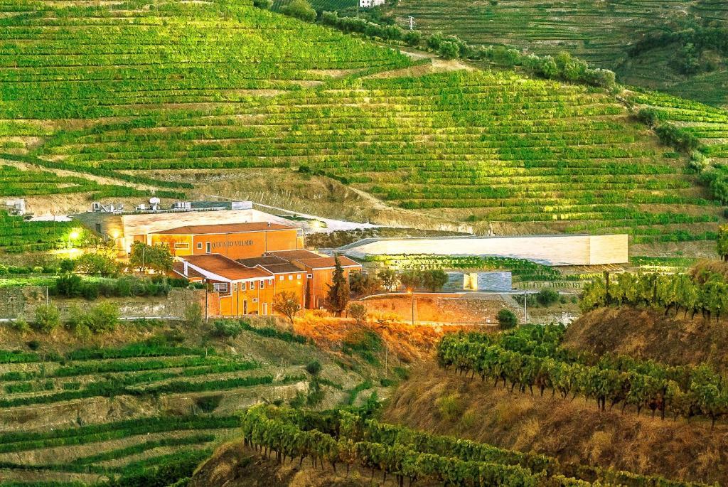 Quinta Do Vallado - Douro Wine Hotel 比索达雷加 外观 照片