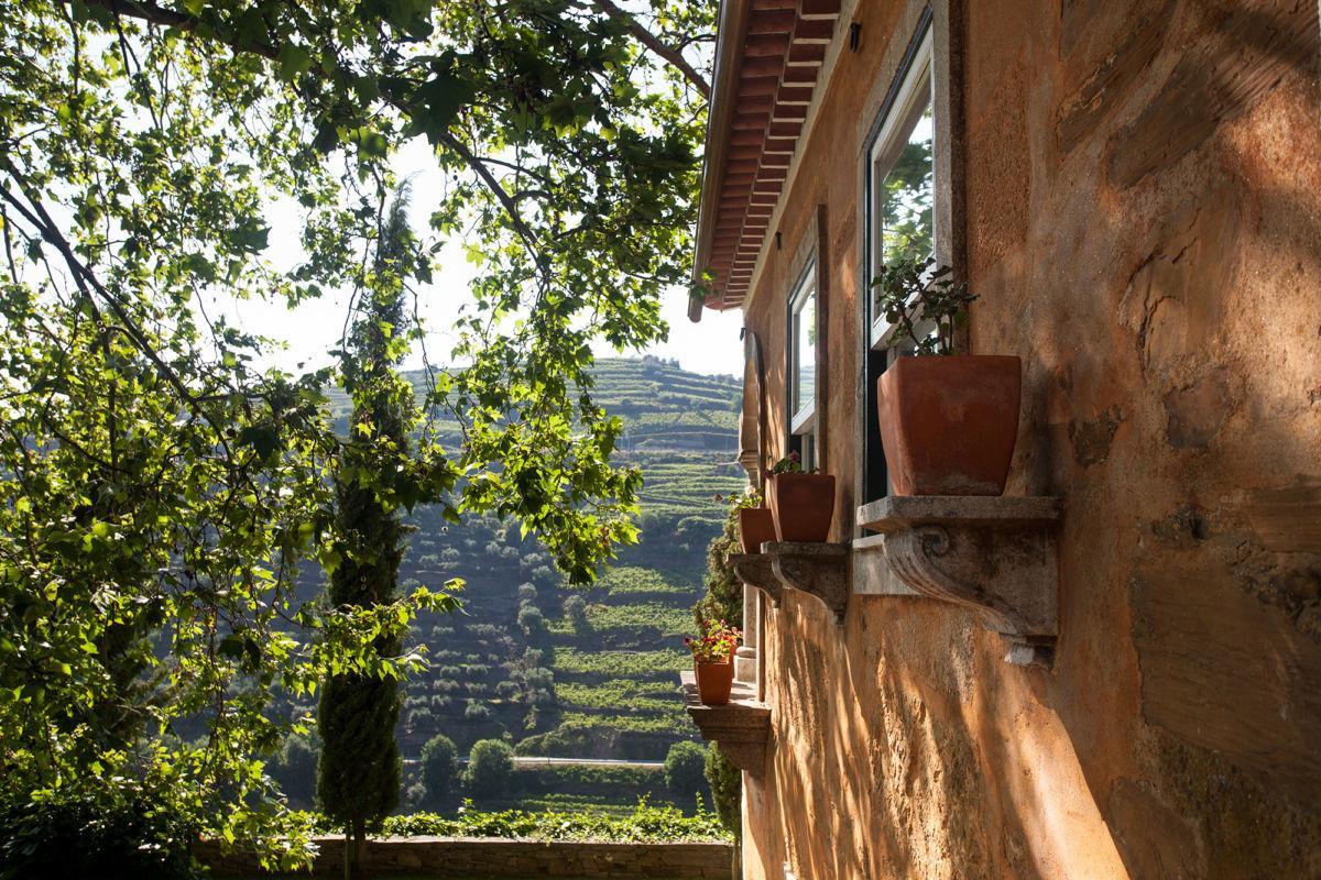 Quinta Do Vallado - Douro Wine Hotel 比索达雷加 外观 照片